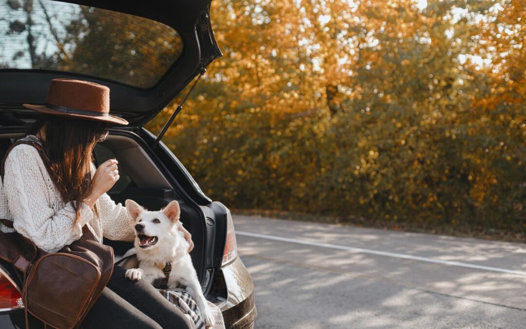 woman sitting in the trunk of a hatchback with a dog